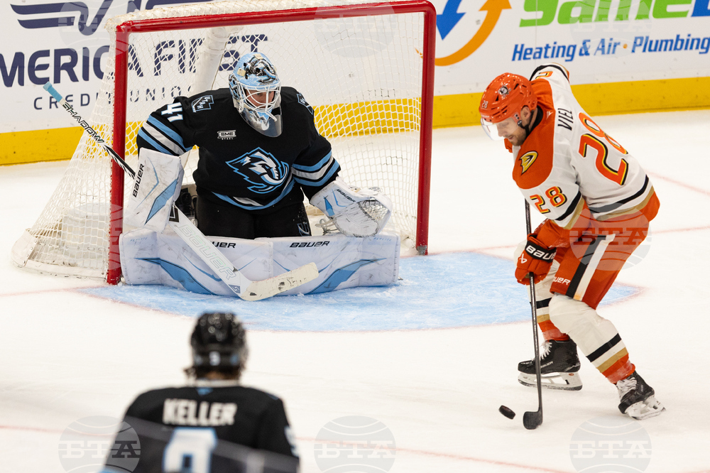 Ducks Mammoth Hockey