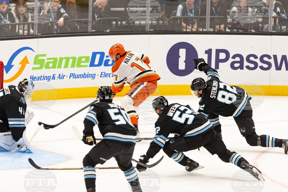 Ducks Mammoth Hockey