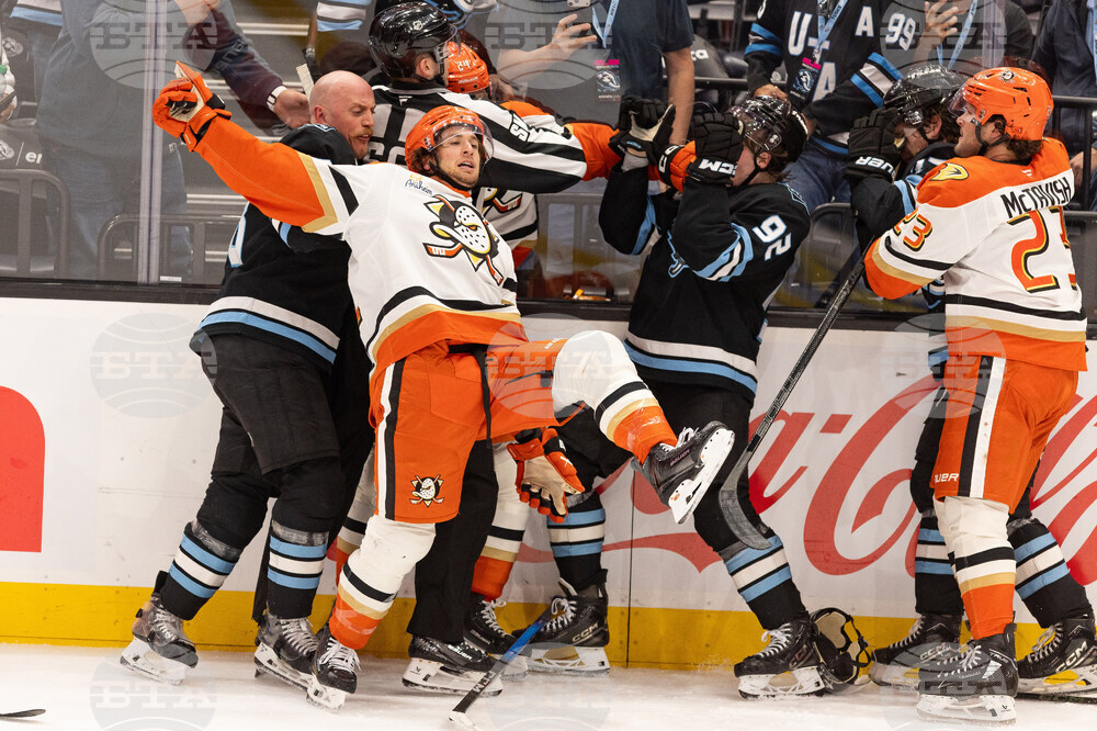 Ducks Mammoth Hockey