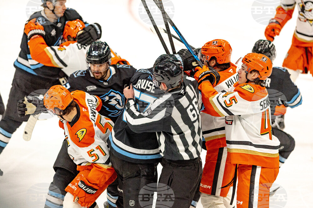 Ducks Mammoth Hockey