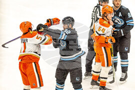 Ducks Mammoth Hockey