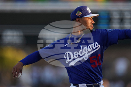 Padres Dodgers Spring Baseball