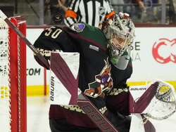 Kraken Coyotes Hockey