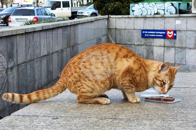 Котка - метростанция