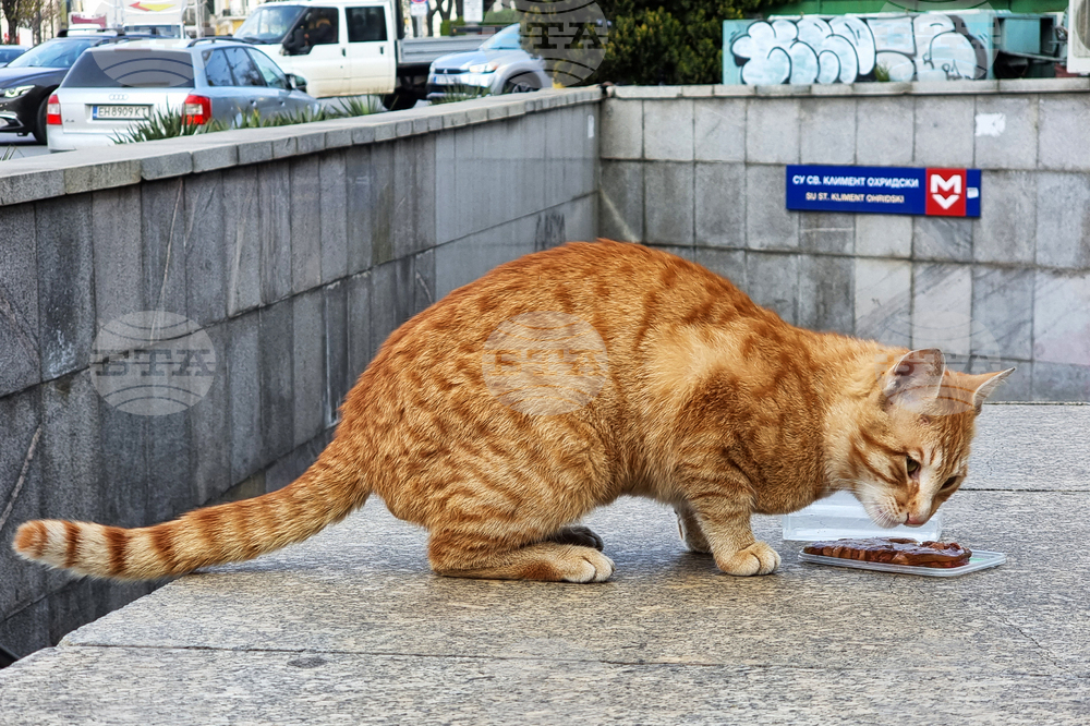 Котка - метростанция