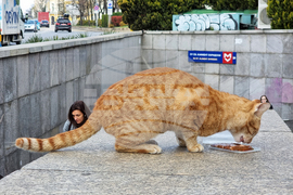 Котка - метростанция