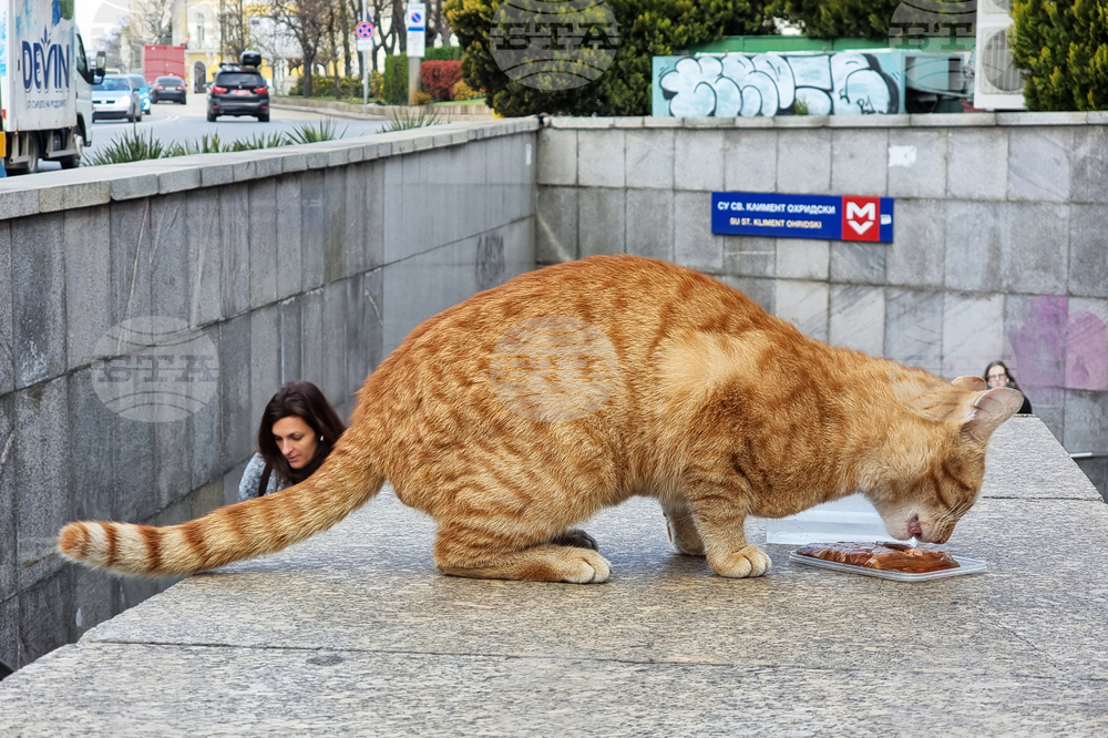 Котка - метростанция