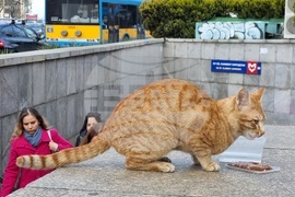 Котка - метростанция