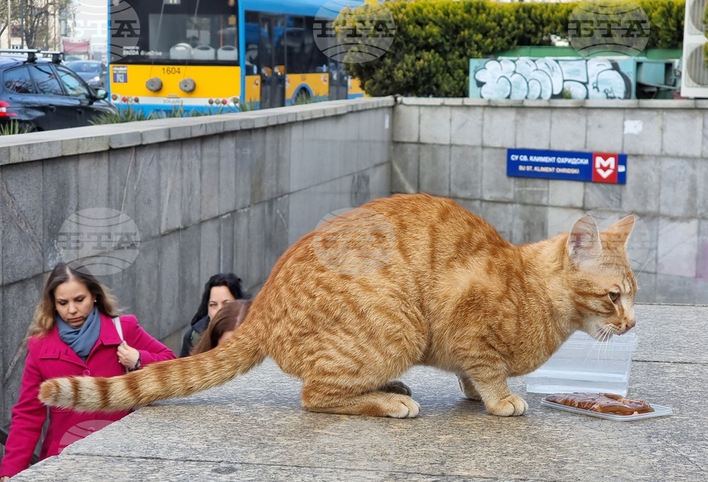 Котка - метростанция