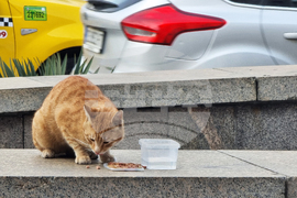 Котка - метростанция