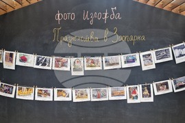 Стара Загора - зоопарк - празник