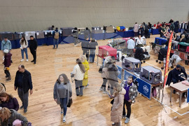 Варна - котки - изложба