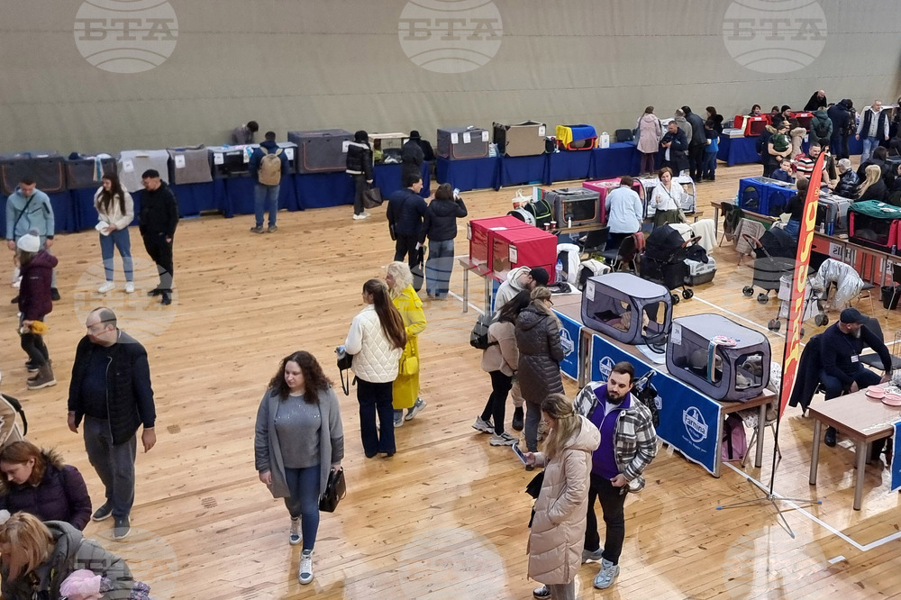 Варна - котки - изложба