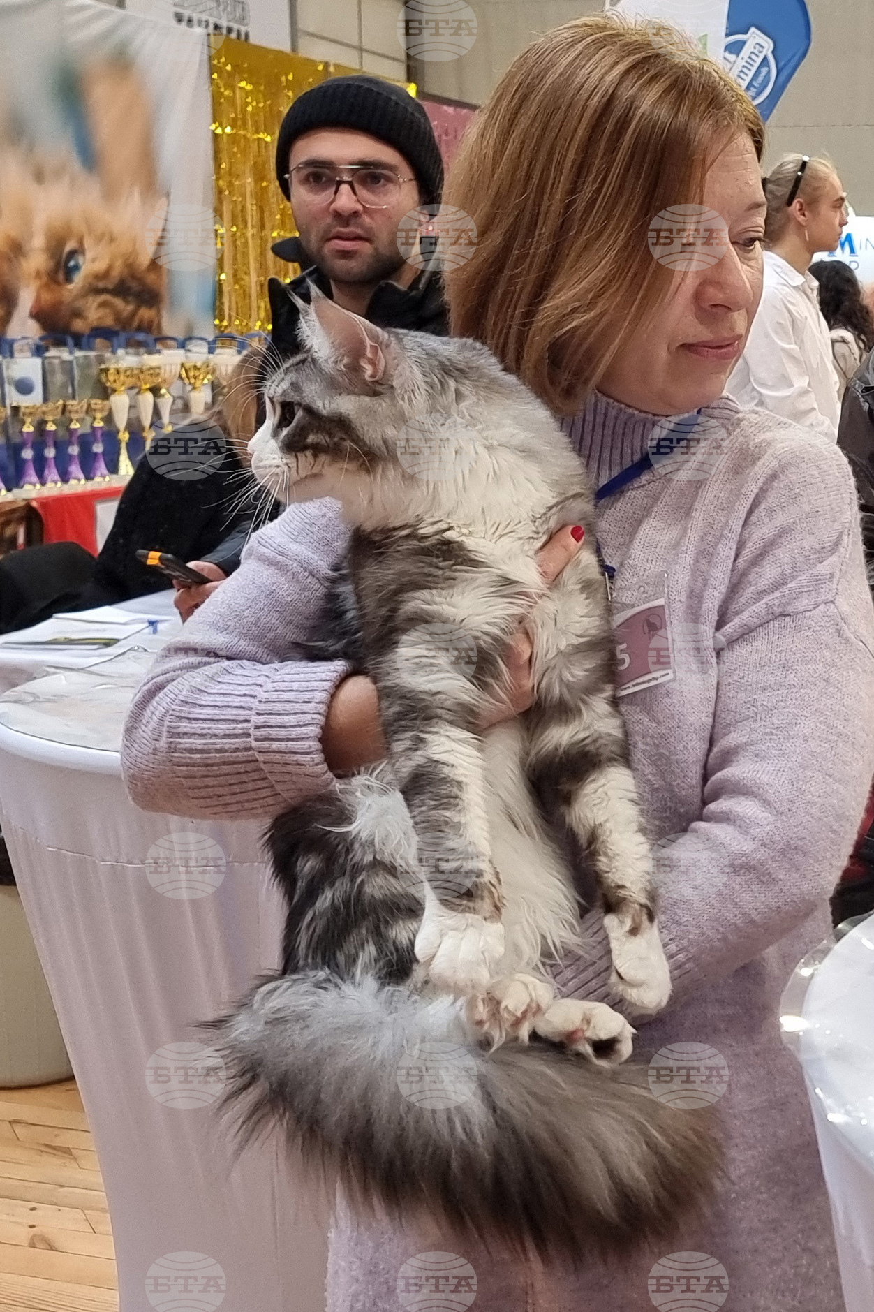 Варна - котки - изложба