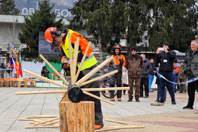 Тетевен - млад дървосекач - международно състезание