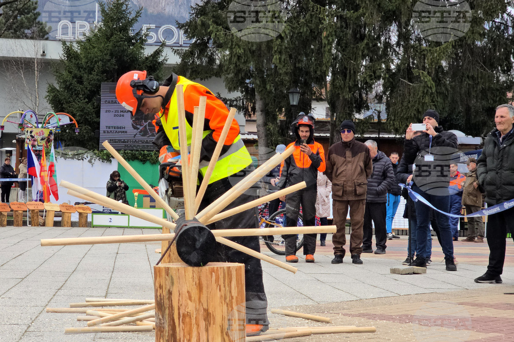Тетевен - млад дървосекач - международно състезание