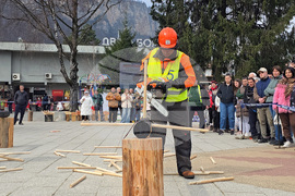 Тетевен - млад дървосекач - международно състезание
