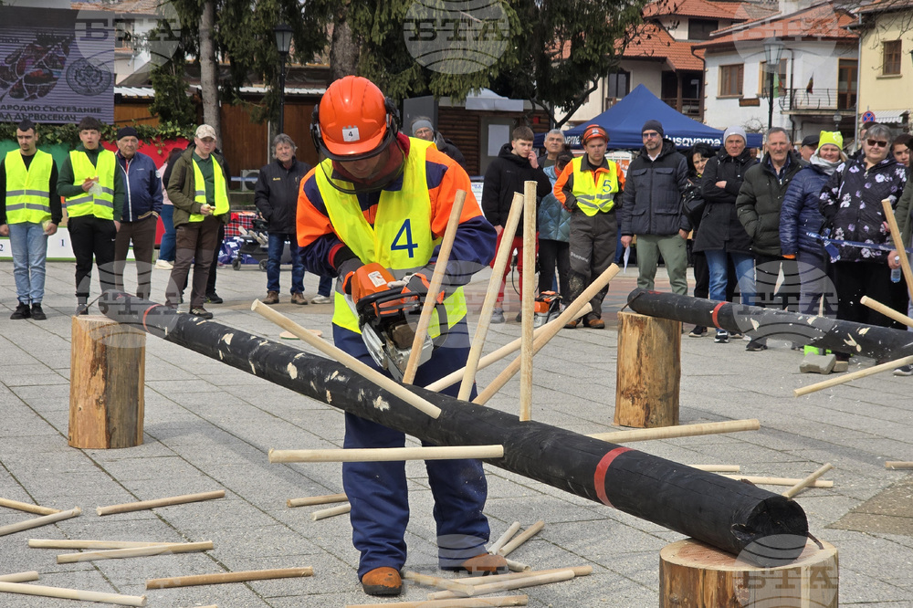 Тетевен - млад дървосекач - международно състезание