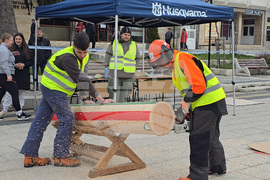 Тетевен - млад дървосекач - международно състезание