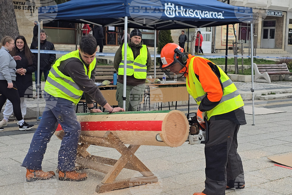 Тетевен - млад дървосекач - международно състезание