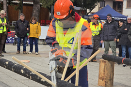 Тетевен - млад дървосекач - международно състезание