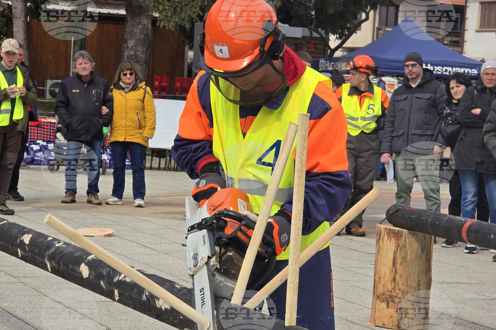 Тетевен - млад дървосекач - международно състезание