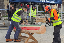Тетевен - млад дървосекач - международно състезание