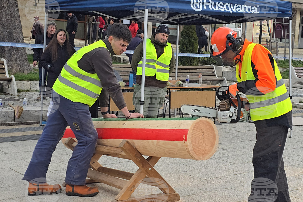 Тетевен - млад дървосекач - международно състезание