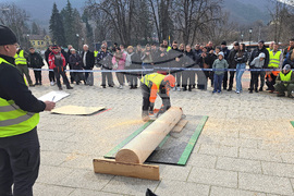Тетевен - млад дървосекач - международно състезание