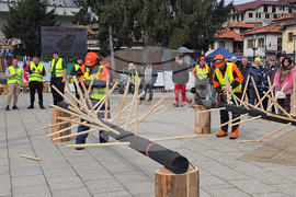 Тетевен - млад дървосекач - международно състезание