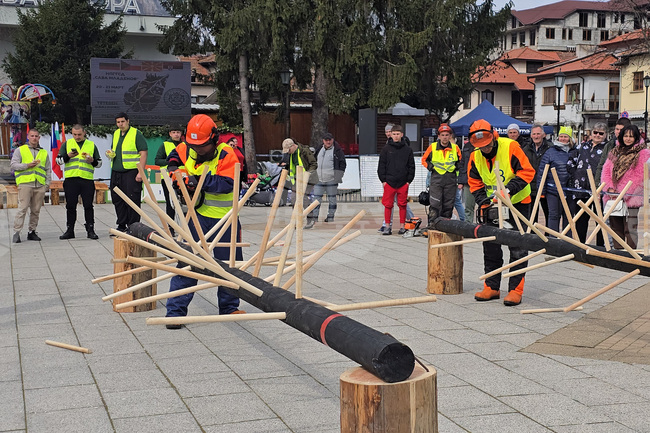 Международното състезание „Млад дървосекач“ в Тетевен събра 16 индивидуални състезатели и осем отбора