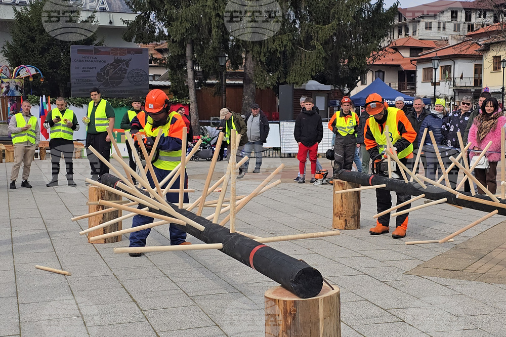 Тетевен - млад дървосекач - международно състезание