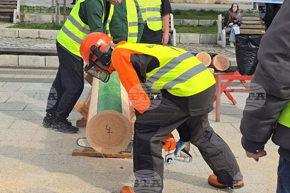 Тетевен - млад дървосекач - международно състезание