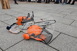 Тетевен - млад дървосекач - международно състезание