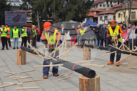 Тетевен - млад дървосекач - международно състезание