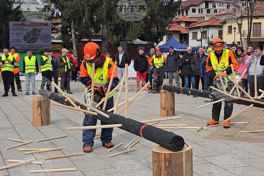 Тетевен - млад дървосекач - международно състезание