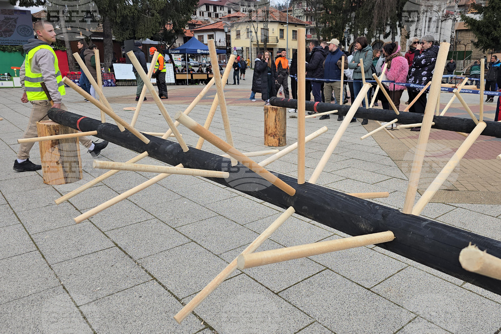 Тетевен - млад дървосекач - международно състезание