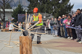 Тетевен - млад дървосекач - международно състезание