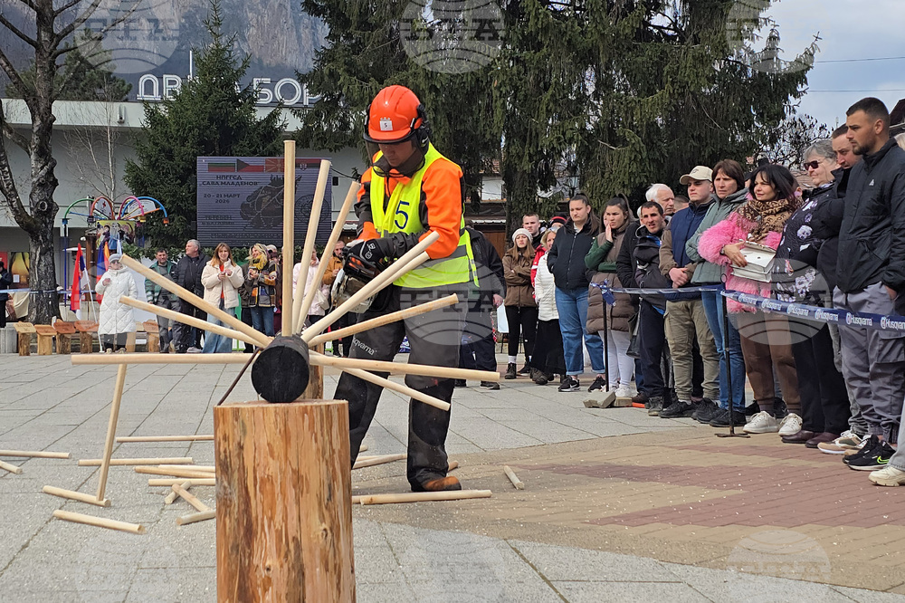 Тетевен - млад дървосекач - международно състезание