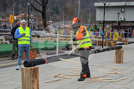 Тетевен - млад дървосекач - международно състезание