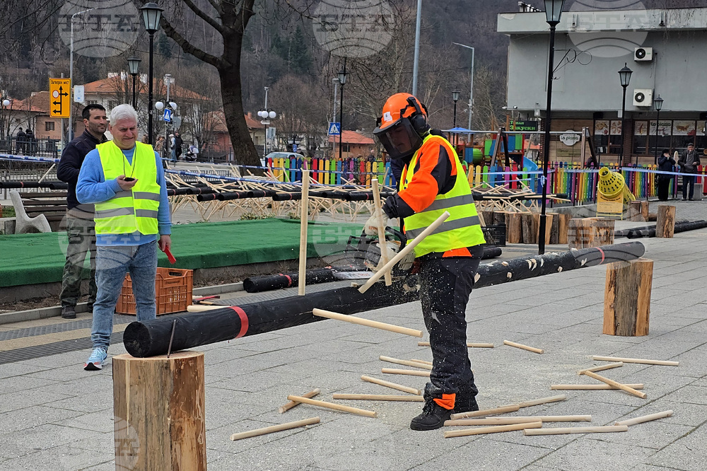 Тетевен - млад дървосекач - международно състезание