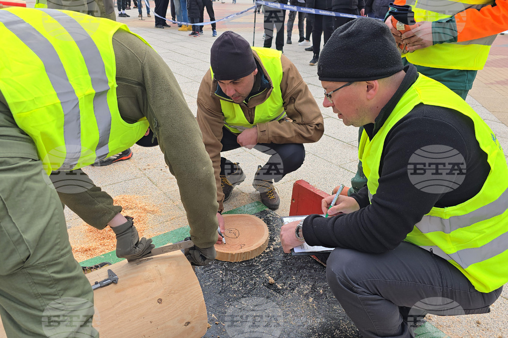 Тетевен - млад дървосекач - международно състезание