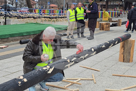 Тетевен - млад дървосекач - международно състезание