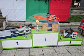 Тетевен - млад дървосекач - международно състезание