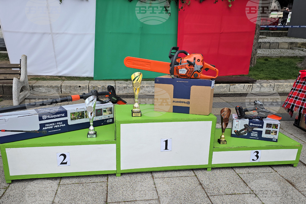 Тетевен - млад дървосекач - международно състезание