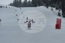 Банско - Национално първенство по ски за журналисти