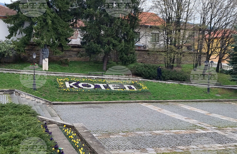 Котел - изглед