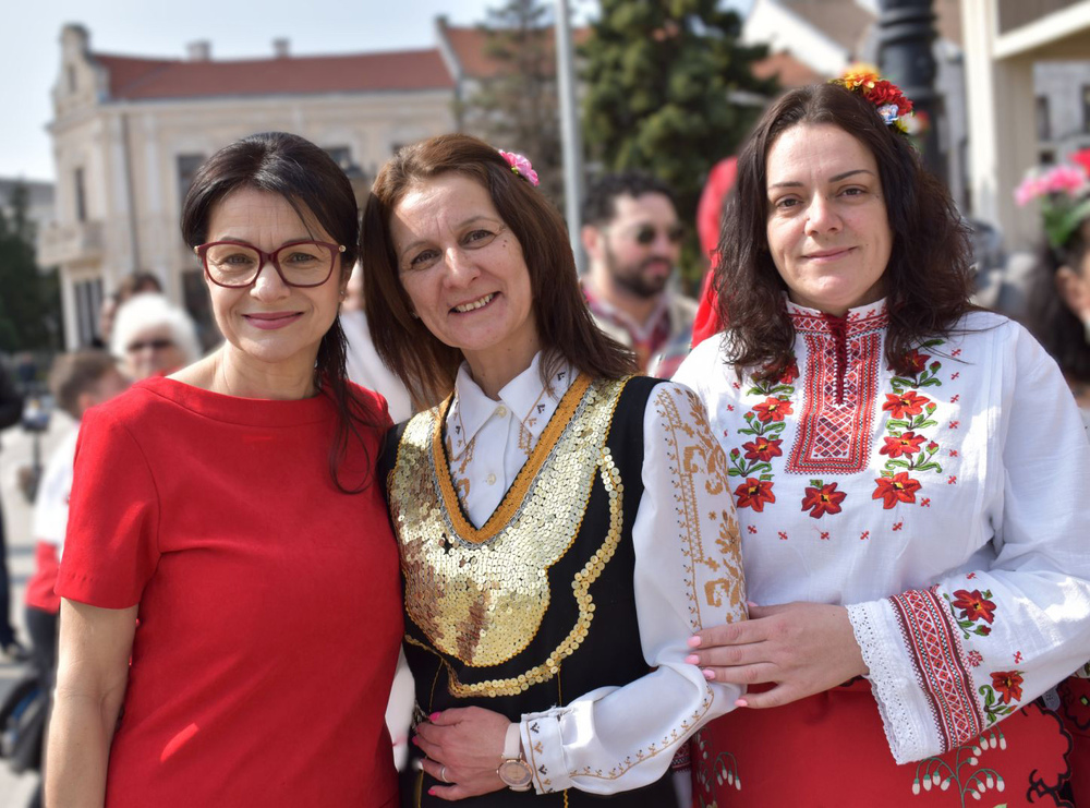 Видин - ГЕРБ-СДС - кампания - откриване