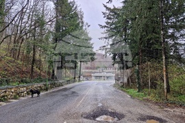 ГКПП Малко Търново - автомобилен трафик