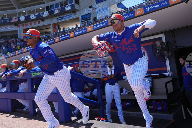 Astros Mets Spring Baseball